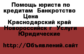 Помощь юриста по кредитам. Банкротство › Цена ­ 2 000 - Краснодарский край, Новороссийск г. Услуги » Юридические   